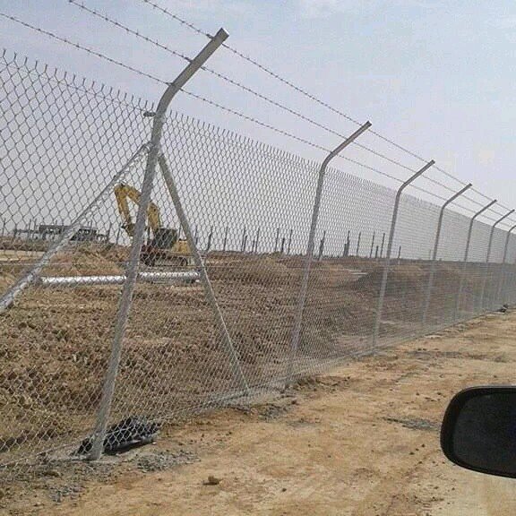 شبوك غنم وأبل خميس مشيط